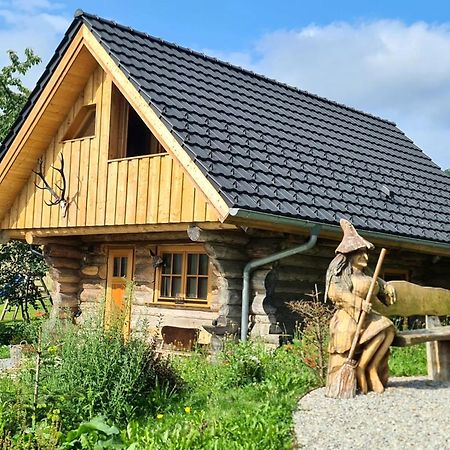 Blockhaus Panhuette Villa Braunlage Buitenkant foto