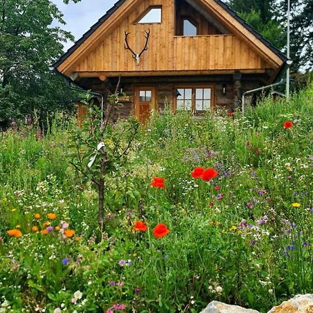Blockhaus Panhuette Villa Braunlage Buitenkant foto