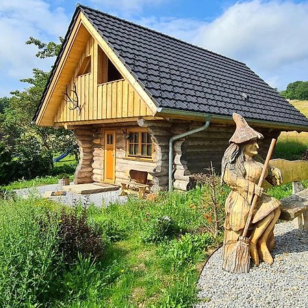 Blockhaus Panhuette Villa Braunlage Buitenkant foto