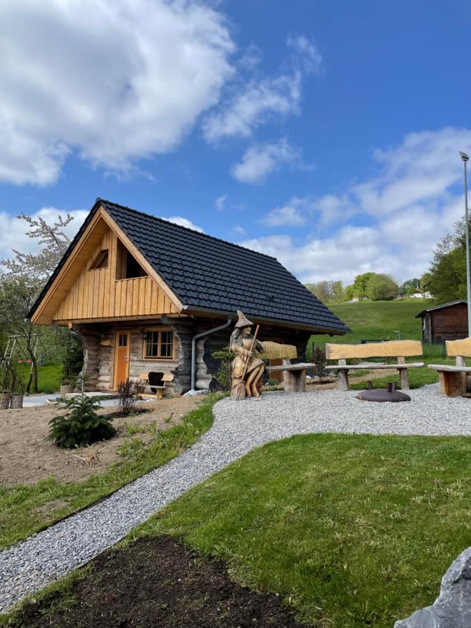 Blockhaus Panhuette Villa Braunlage Buitenkant foto