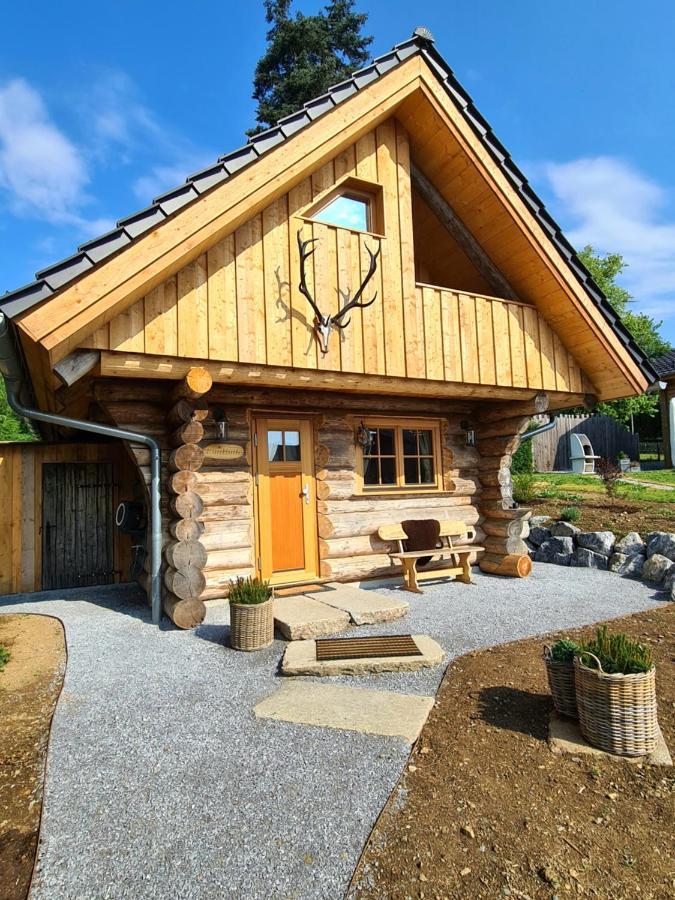 Blockhaus Panhuette Villa Braunlage Buitenkant foto