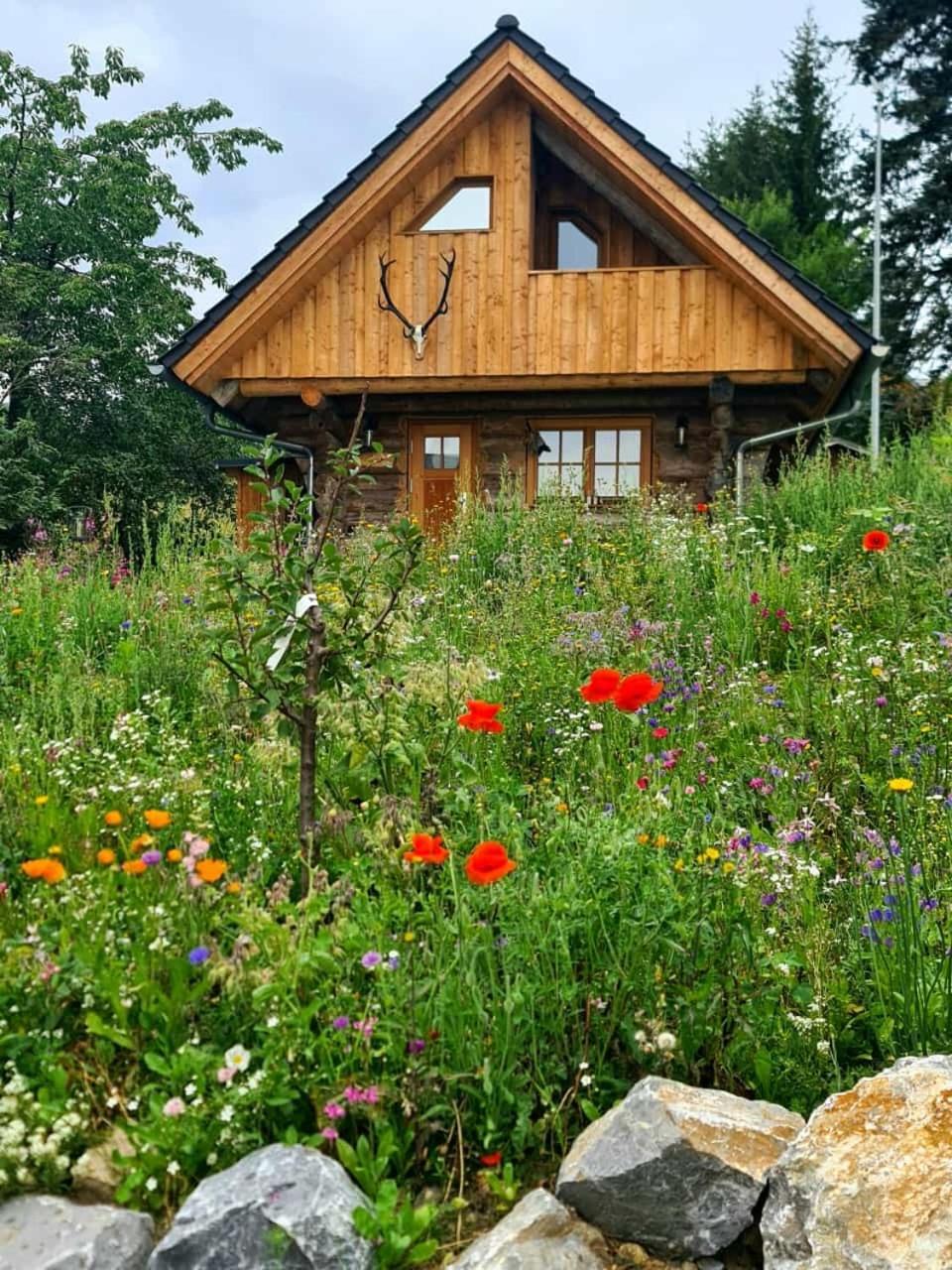 Blockhaus Panhuette Villa Braunlage Buitenkant foto
