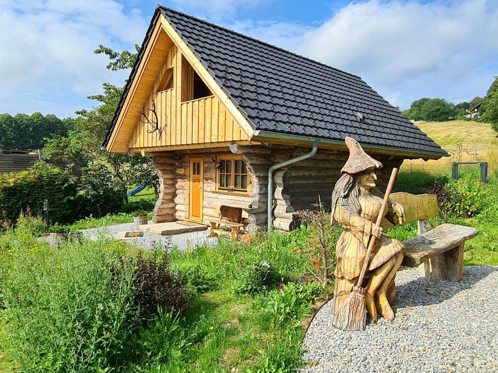 Blockhaus Panhuette Villa Braunlage Buitenkant foto